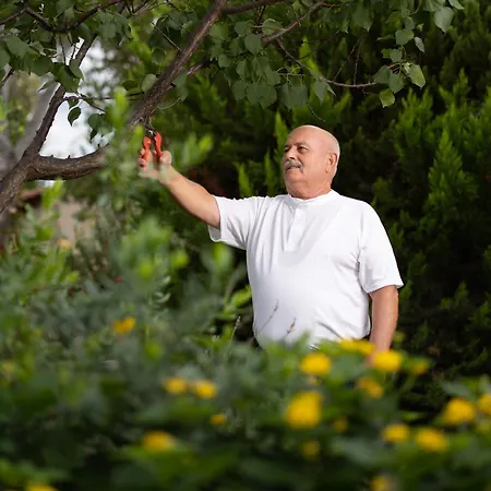 Petrino Eco Village 4* Áfitos