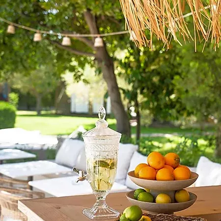 Petrino Eco Village Hotell Afytos