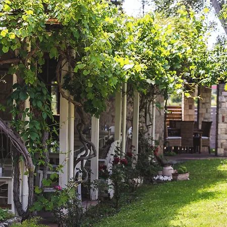 Petrino Eco Village 4* Afytos