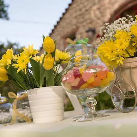 Petrino Eco Village Otel Afytos