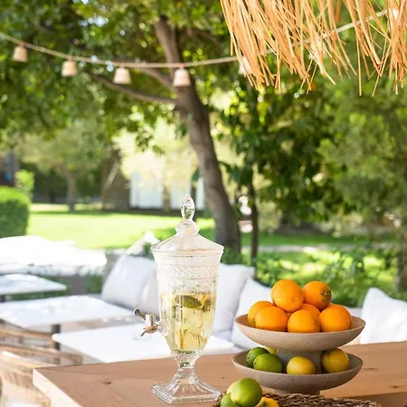 Petrino Eco Village Hotell