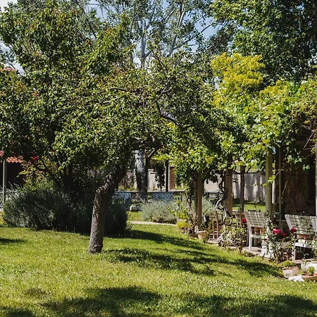 Petrino Eco Village Áfitos
