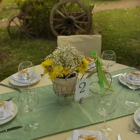 Petrino Eco Village Hotell Afytos