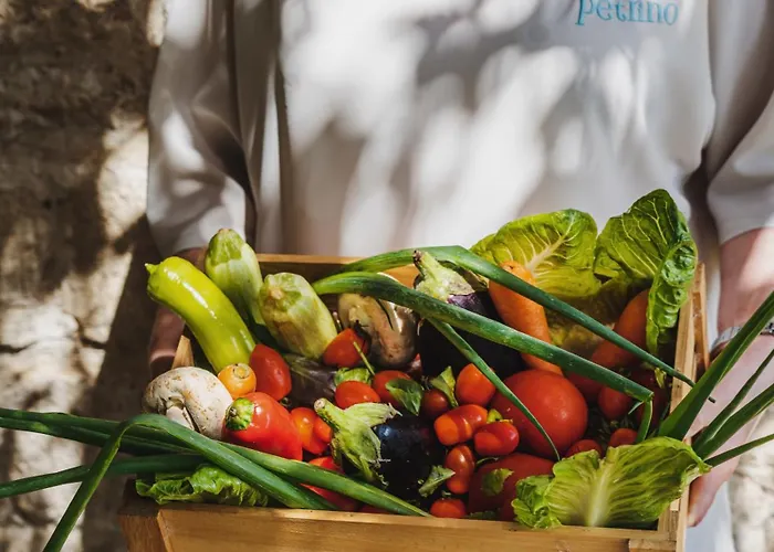 Petrino Eco Village Hotel Afytos